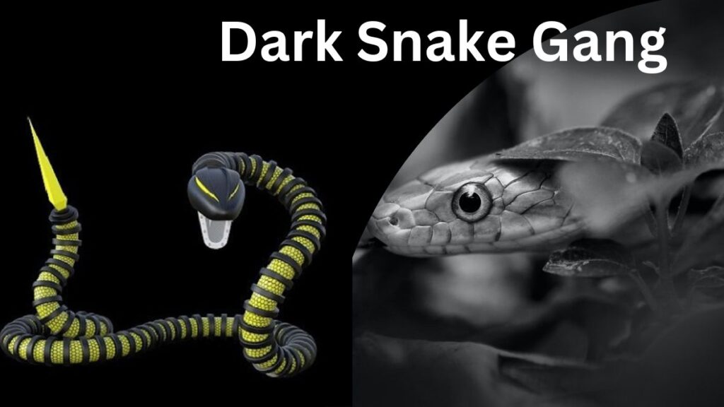Dark Snake Gang